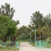 samshitkanew2514_b