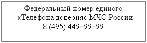 �������: ����������� ����� ������� «�������� �������» ��� ������
8 (4�99�99

