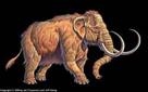 http://www.prehistory.com/wmammoth2.htm