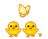pticia-793.gif
