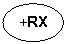 ����: +R�