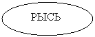 ����: ����