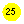 ����: 25