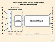 s2.jpg