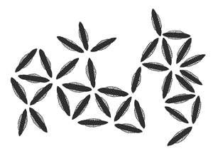 ���� ������� Anopheles