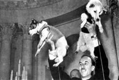 Belka&Strelka3.jpg