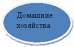 Овал: Домашние
хозяйства