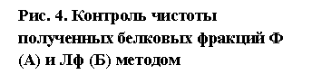 �������: