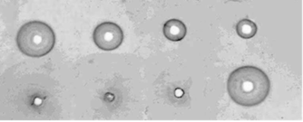 ��������: ����� ������� (5)