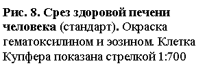 �������: