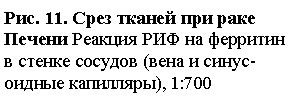 �������: