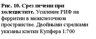 �������: