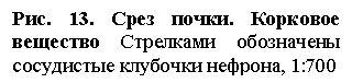 �������: