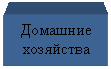 Подпись: Домашние хозяйства