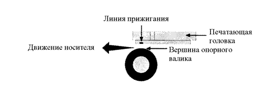 �������: 