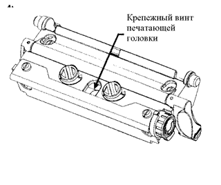 �������: