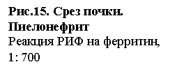 �������: