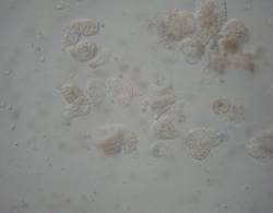 DSC01750