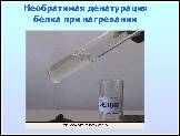 ����������� «�����», ����� � 26