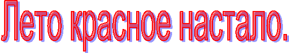 Лето красное настало.