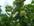 ��������: C:\Users\���\Pictures\ ���������\��������� 079.JPG