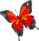 butterfly_20016[1].gif
