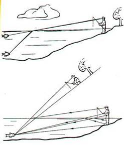 В соответствии с законами оптики рыба может видеть стоящего в воде рыбака парящим в воздухе