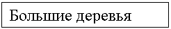 �������: