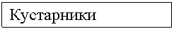 �������: