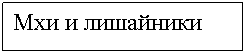 Подпись: