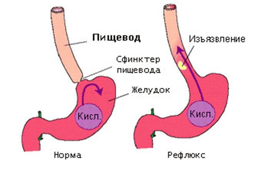 Картинка 179 из 802