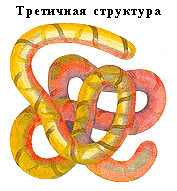 http://*****/library/courses/bio10/lec1_2_1-8.gif