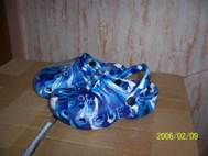 100_4972.JPG