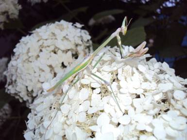 E:\DSC01584.JPG