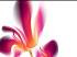http://*****/articles/410007/Image51.jpg