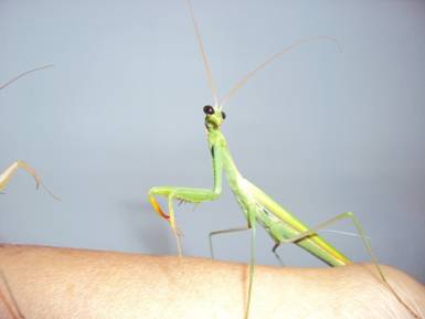 E:\��� �����\����\DSC03624.JPG