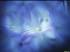 http://*****/articles/410007/Image63.jpg