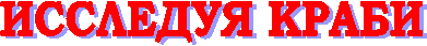 ИССЛЕДУЯ КРАБИ