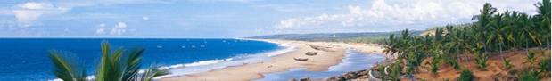 kerala beaches
