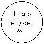 ����: ����� �����,

 %

