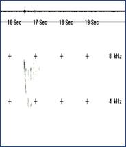 061_��.BMP