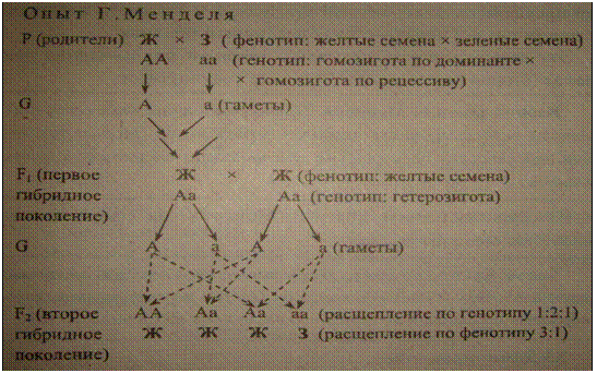 Подпись: