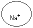 ����: Na+

