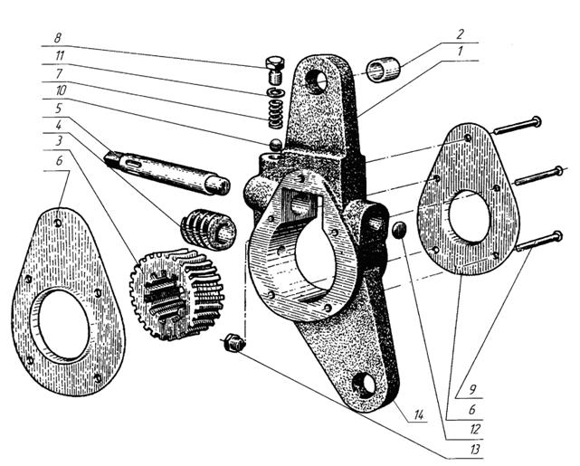 36