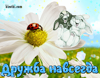 &kcy;&acy;&rcy;&tcy;&icy;&ncy;&kcy;&acy; &scy; &ncy;&acy;&dcy;&pcy;&icy;&scy;&softcy;&yucy;