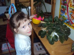 C:\Documents and Settings\User\������� ����\����� ����� (2)\DSC03312.JPG