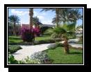 Ali Baba Palace 4*
