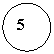 ����: 5