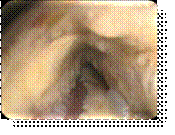 2395_090216_008.bmp.jpg