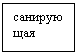 �������: ����-������
